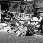 _DSC3213