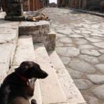 Pompei18