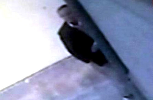 Attentato Brindisi. Vendetta o gesto di uno squilibrato? Incerto il movente