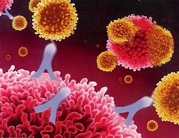 Sindrome da anticorpi antifosfolipidi, disponibili le linee guida di emergenza