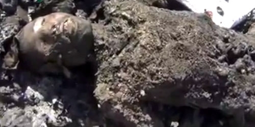 Siria. Osservatori Onu sul luogo del massacro. I VIDEO CHOC