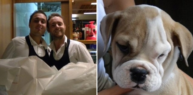 A Sesto Fiorentino (Firenze) nasce il primo bar per cani: il Bar Blu