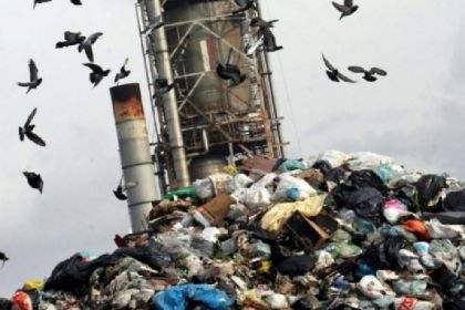 Ecomafie, il contrasto internazionale: Legambiente in audizione al Parlamento europeo