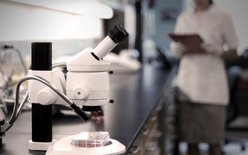 Atrofia muscolare spinale, potenziale cura da una proteina sintetizzata dal fegato