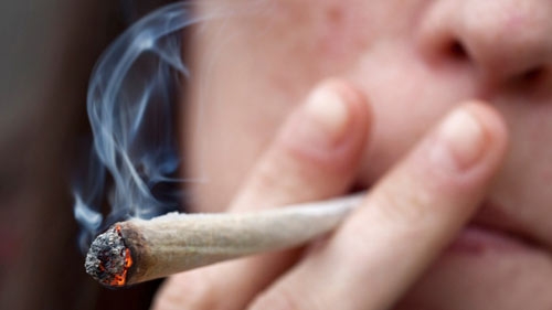 Scienza. La cannabis danneggia memoria e apprendimento