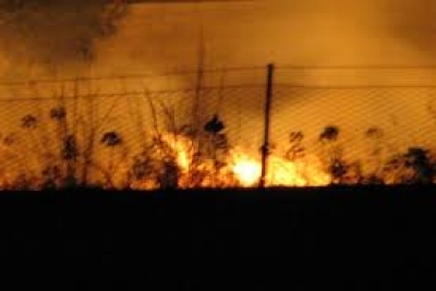 Incendi. Lo spettro della mafia nei roghi della Calabria