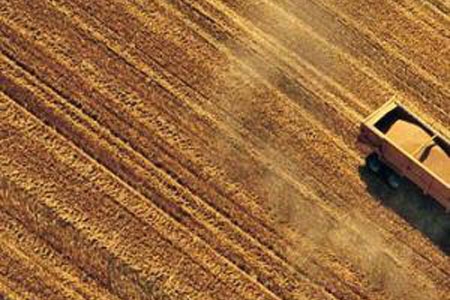 Caldo. Coldiretti lancia allarme Caligola. Un miliardo di danni all’agricoltura