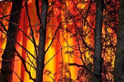 Incendi. Ieri 137 roghi. E’ emergenza ambientale