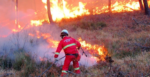 Con il caldo raddoppiano gli incendi. L’allarme della Coldiretti