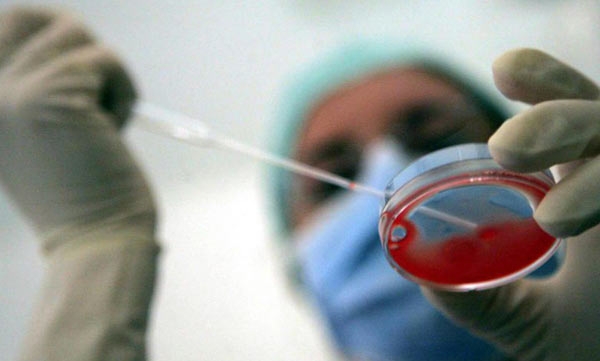 Fecondazione assistita, la Corte europea dei diritti umani boccia la legge 40