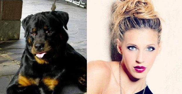 Che fine ha fatto il cane della velina Giulia Calcaterra?