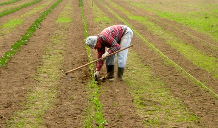 Crisi. Confagricoltura. La sfida alimentare si vince con l’agricoltura