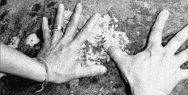 Poesia e civiltà a Genova con “Bligal”