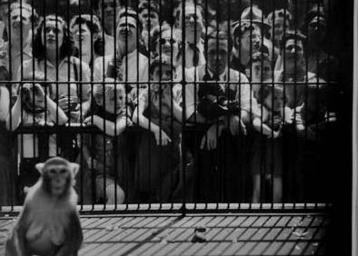 Stanley Kubrick fotografo. Al Chiostro del Bramante fino al 25 novembre