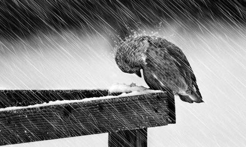Meteo. In arrivo Attila, portatore di gelo e neve