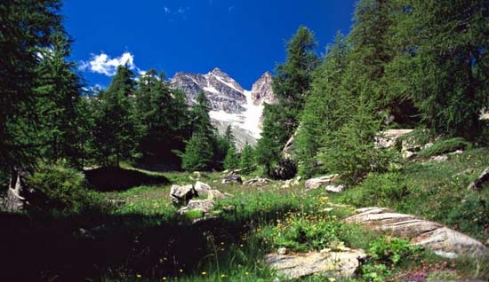 Emanata la prima direttiva per la conservazione della biodiversità nei parchi nazionali