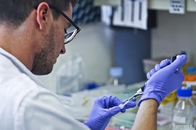 Legge stabilità. Ricercatori universitari, siamo a un passo dal collasso