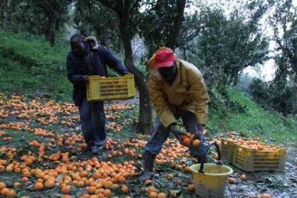 Mantova. Fecero morire un loro operaio, l’Appello condanna due imprenditori