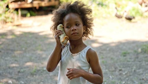 Re della terra selvaggia. Un film indipendente da oscar