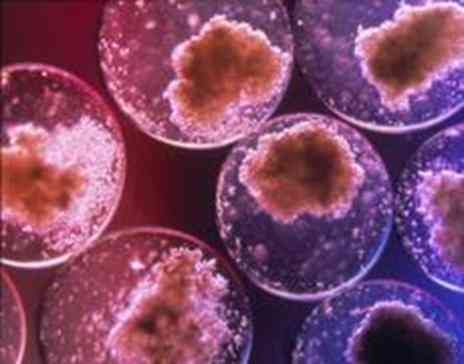 Tumori rari in Italia. Ancora troppe le disuguaglianze nella diagnosi e trattamento