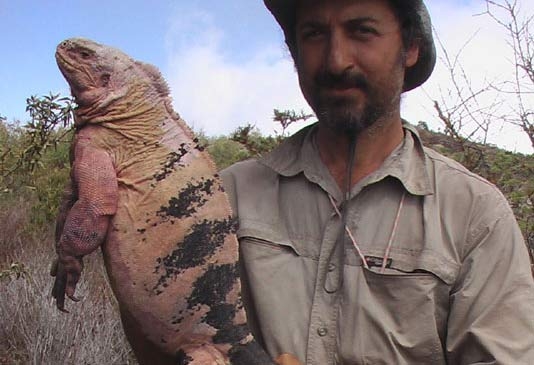 Museo civico di zoologia. Tra le iguane rose una scoperta italiana alle Galapados