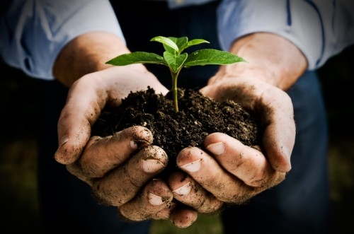 Economia verde con il PD al Governo. Non perdiamo l’occasione