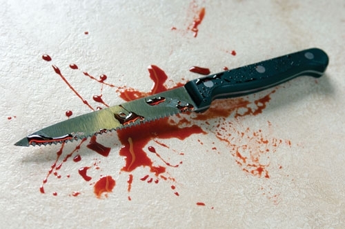 Uccide la nonna con 24 coltellate. Raptus di follia
