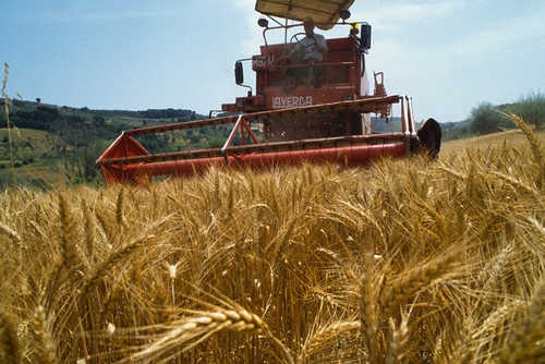 Entra nel vivo la trattativa UE sull’agricoltura