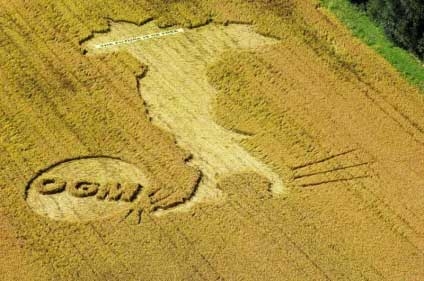 Alimenti Ogm e contaminati spacciati come ‘bio’. 23 denunce