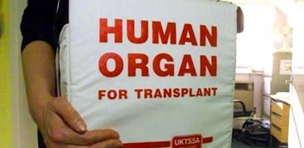 Dono e tecnologia. La carta di identità per scegliere di donare organi e tessuti