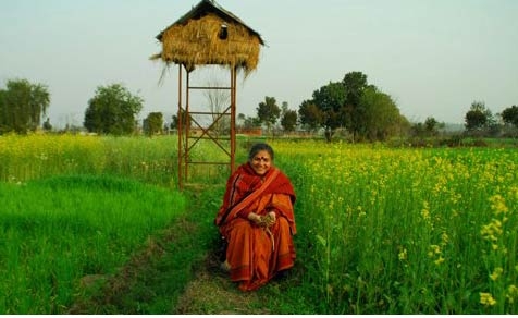 Terra, semi e libertà. Incontro con Vandana Shiva