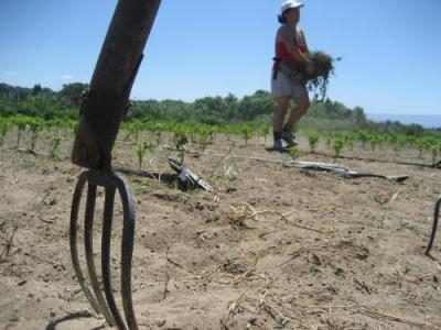 “Io riattivo il lavoro”. Cgil in campo a tutela delle maestranze delle aziende confiscate alle mafie