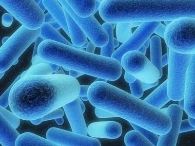 Salute. Legionella, ogni luogo è a rischio contaminazione