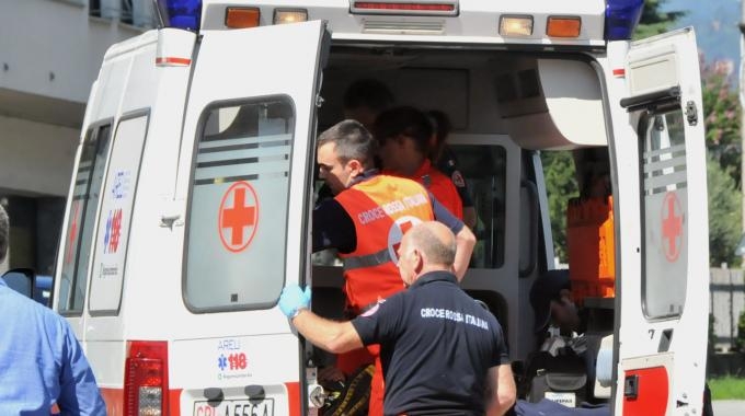 Bimbo di 18 mesi sbranato dai tre cani del nonno