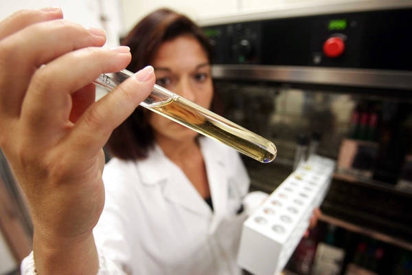 Nuova alga invasiva scoperta nel canale di Sicilia. Legambiente nel team internazionale