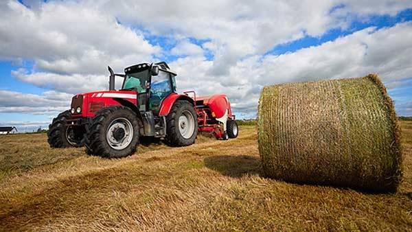 A come agricoltura. E’ alla terra che torneremo