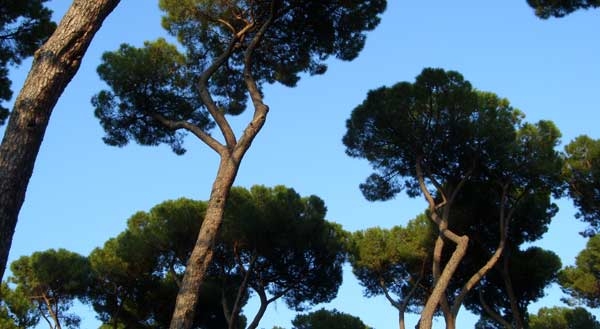 UE, sul tavolo allargamento ed ambiente