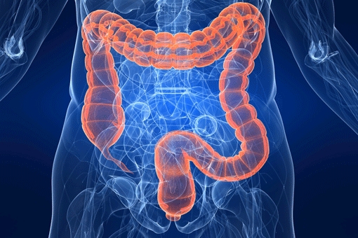 Tumori gastrointestinali. Dal Piemonte la nuova tecnica di rimozione endoscopica