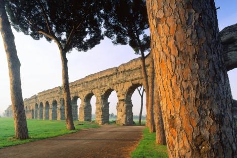 Cinecittà World, un grande parco tematico. La passione per fiori e piante