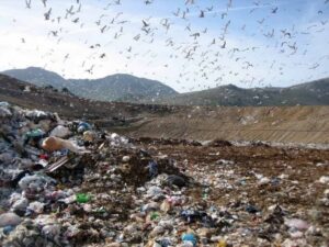 Mater Gratiae, la discarica della vergogna
