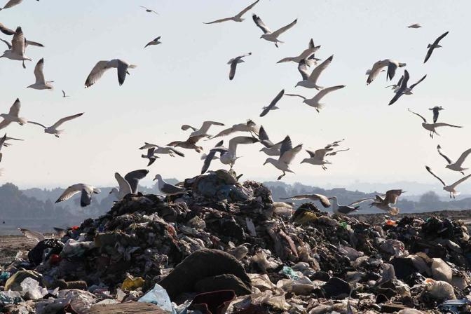 Rifiuti Roma. L’Enac contro la discarica della Falcognana. Il nostro parere è vincolante