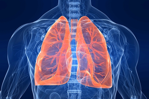 Fibrosi Polmonare Idiopatica (IPF), il San Martino di Genova abilitato alla prescrizione di Esbriet