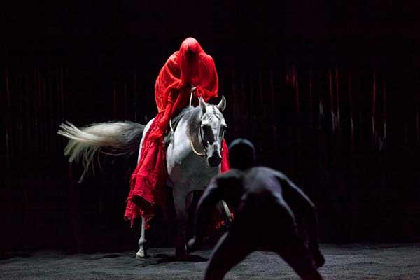 MAXXI. Le storie della danza contemporanea