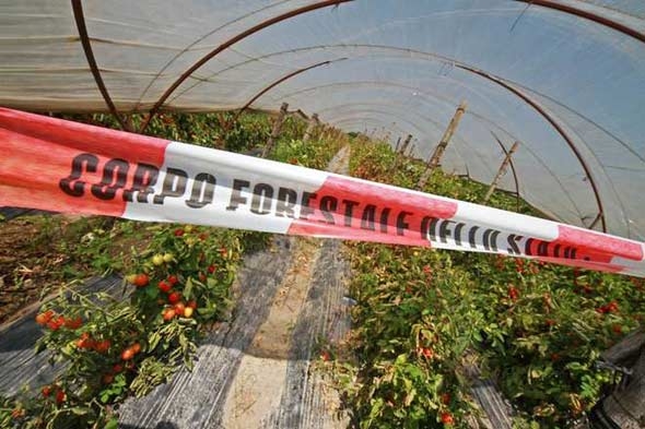 Terra dei fuochi. 100 studenti dalle province di Napoli e Caserta saranno “Testimoni della legalità”