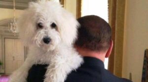 E’ Dudù, l’amore del pregiudicato, che decide le sorti dell’Italia