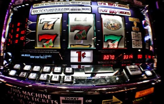 Emendamento slot, Codacons denuncia 140 senatori che hanno votato