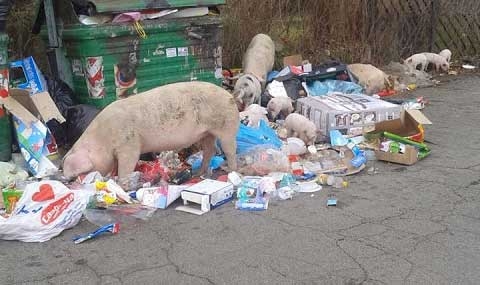 Rifiuti. A Roma l’emergenza è dietro l’angolo