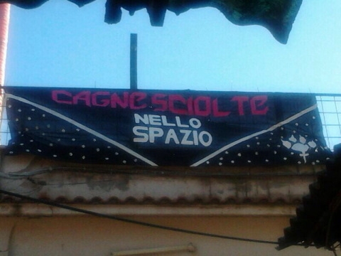 Violenza donne. Occupato stabile a Roma dal movimento Cagne sciolte