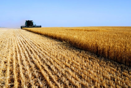 Agricoltura. Inserire prodotti nel Lazio in circuito di valorizzazione
