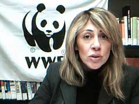 Rifiuti. WWF Lazio: Se Cerroni è l’oracolo noi siamo la sibilla